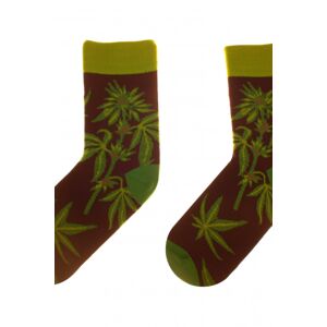 Dámske ponožky 80 Funny herbs